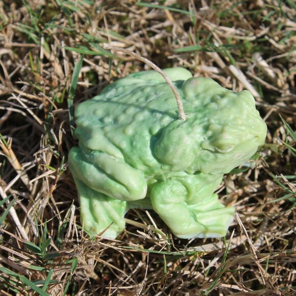 Green Frog Candle - Picture 13 of 14